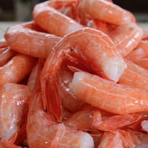 Fresh BC Sidestripe Shrimp - Tanya-Ray FIshing